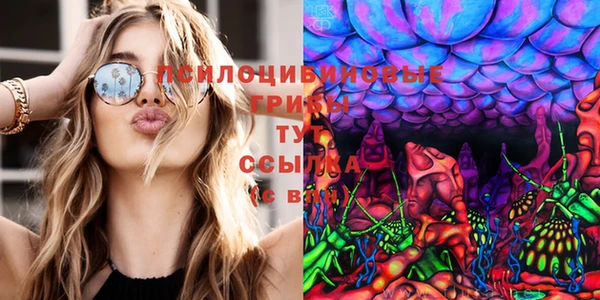 сатива Бородино