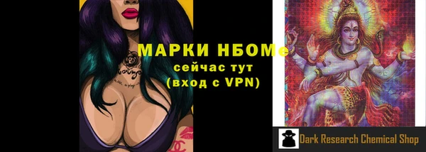 сатива Бородино