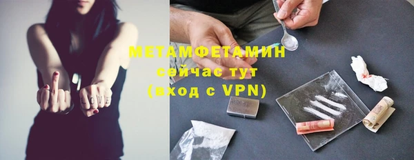 сатива Бородино