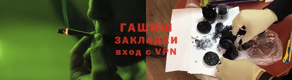 сатива Бородино