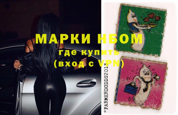 сатива Бородино