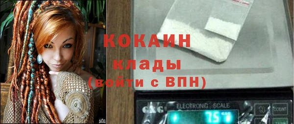 сатива Бородино