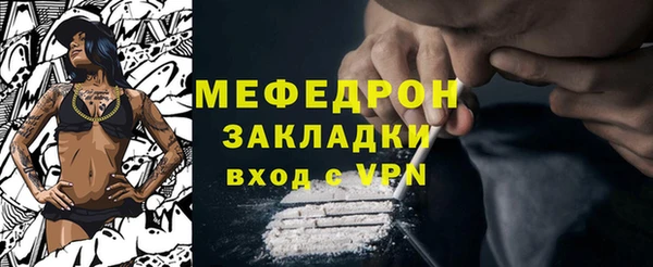 сатива Бородино