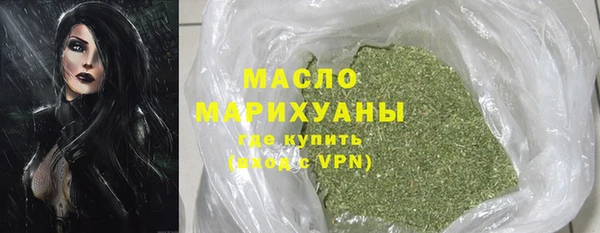 сатива Бородино