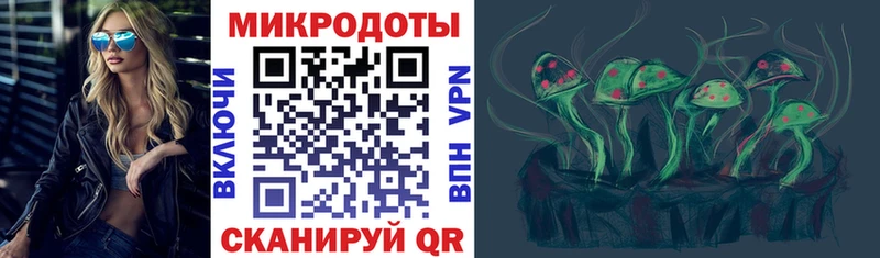 Псилоцибиновые грибы мухоморы  shop клад  Весьегонск 